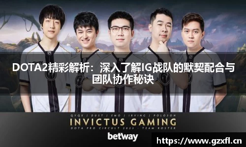 DOTA2精彩解析：深入了解IG战队的默契配合与团队协作秘诀